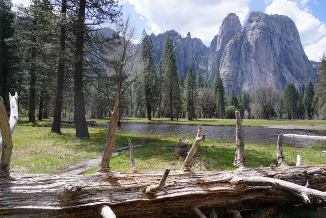 blog image: How to create a very cool homepage using reactJs